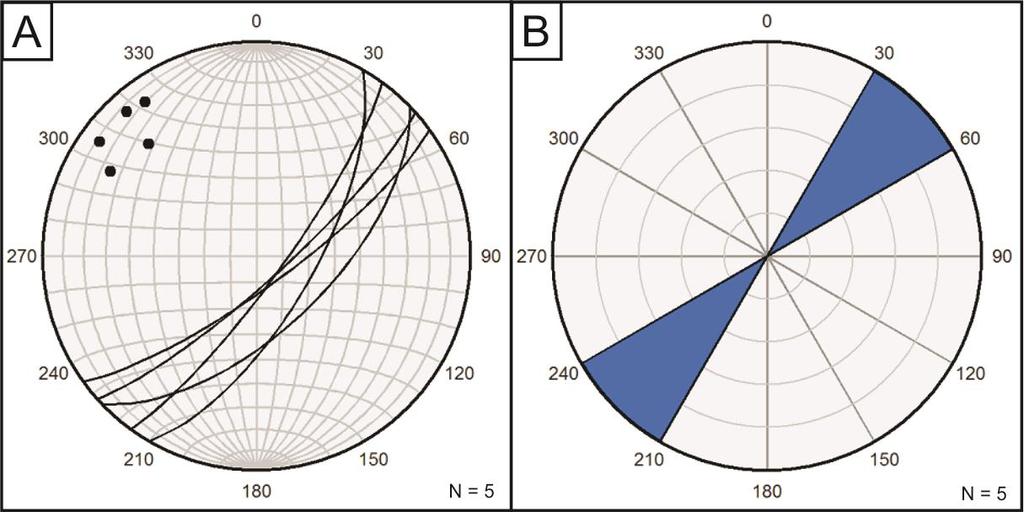 Figur 44: A) Stereografisk projeksjon av målte bruddplan (storsirkler) i Kongviksdalen og overgangen til Norddalen, med plottede poler. B) Rosediagram som viser trenden av de målte bruddplanene.