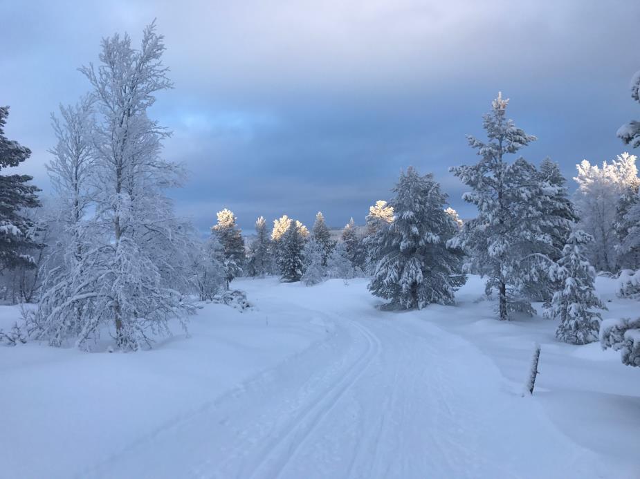 Fysisk aktivitet bidrar til god helse, og virker forebyggende på mange livsstilssykdommer.