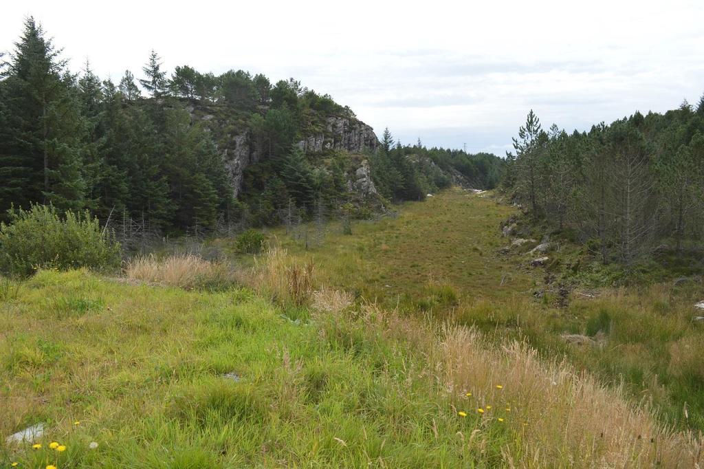 Rapport 25 2017 Hordaland fylkeskommune 20 Figur 13 Draget mellom Eidevatnet og Hellevatnet. Omrota av røyrgate. Mesteparten av prøvestikka vart gravne i høgda 17-25 meter over havet.