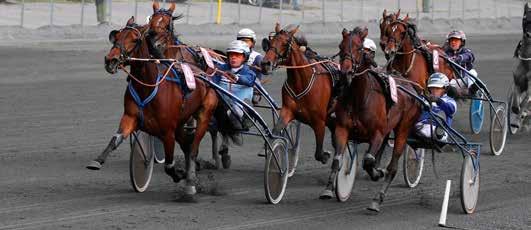 Ole A. Landaas Æresløp - tidligere vinnere År Hest Tid Kusk Eier 2000 More Fun 1.17,6a Asbjørn Mehla Ingvald Grov, Skien 2001 Luckpenny San 1.16,3a Gunnar Eggen Stall Penny 2002 Gunny Elling 1.