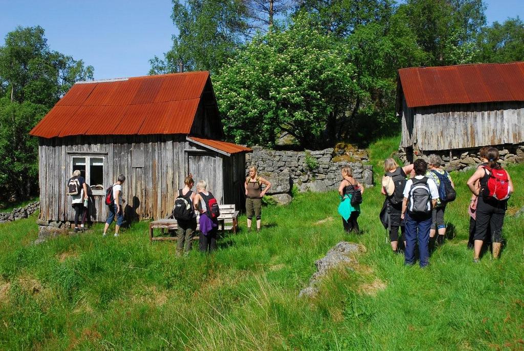 Løpende over sikt over helsetilstanden i Flekkefjord Kommune 218 1. Frafall i videregående skole 2. Mobbing 3.