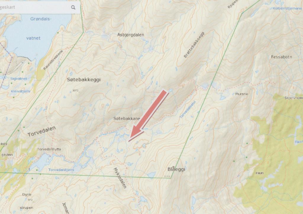 Karituftæ ved den T-merka stien i Torvedalen. Skildring av turane og kulturminna i området skal ligge i ein informasjonsperm på hytta. Halldorstufta ligg nordaust for brua over Torvedalselva.