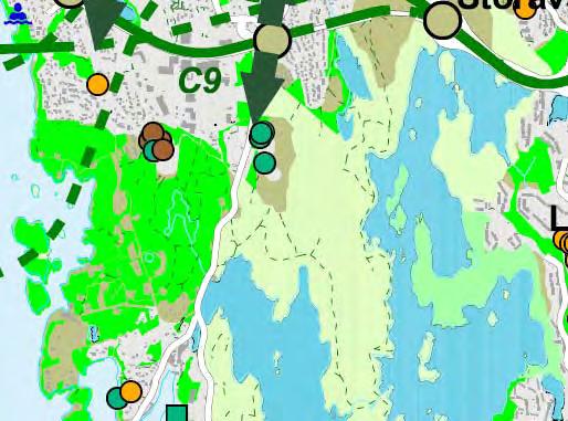 Figur 2.2.23a: Grunnlag og registrering Storavatnet Figur 2.2.23b: Verdikart Storavatnet Omfang og konsekvens Alle alternativa går vidare i dagens trasè, men kjem ikkje fysisk i direkte berøring med friluftsområde Kongshavn - Storavatnet.