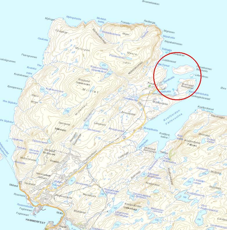 Innseiling Forsøl Miljøundersøkelser av sjøbunnsediment 2 Områdebeskrivelse 2.1 Beliggenhet Området som er undersøkt ligger ved Forsøl, nord på Kvaløya i Hammerfest kommune, Finnmark, se figur 2-1.