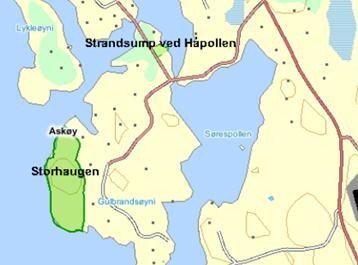 BIOLOGISK MANGFOLD PÅ LAND KUNNSKAPSGRUNNLAGET FOR BIOLOGISK MANGFOLD PÅ LAND Moe (2003) har registrert naturtyper og Overvoll & Talhaug (2003) har gjennomført viltkartlegging i Askøy kommune.