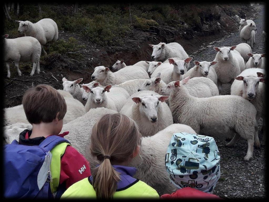 Styrernes forslag fra gruppearbeid i 2013: «1. Felles skilting av bygninger og langs vei 2. Barnehage må bli mer synlig på hjemmesida 3. Refleksvest 4.