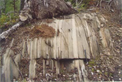 Fig. 1: Sedimentær bånding i glimmerskifer (pelittisk sediment).