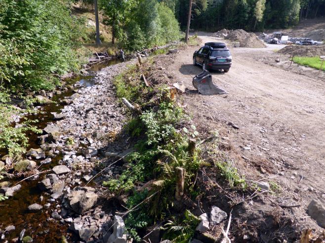 Skorgeelva er sannsynligvis ganske høyt. Sandaas og Enerud (2009) anslår bestanden til å være >100.000 individer. Dette tallet kan stå som et bilde på vassdraget.