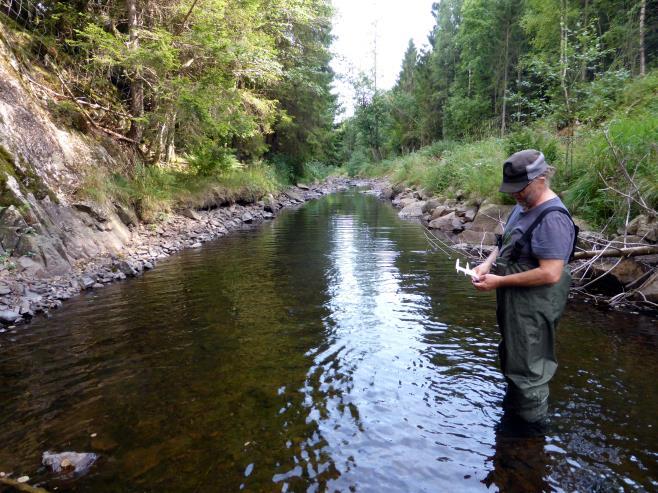 I 2014 ble 7 muslinger mellom 56 og 110 mm funnet opp- og nedstrøms gårdsveien til Hynne.