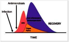 Organsvikten er forårsaket av en ubalansert immunrespons som påvirker