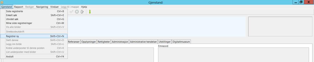 Registreringsnivå Identifikasjonsnummer Enekltgjenstand Rog-xxx(ditt brukernavn)-04 (eksempel: rog-101-04)