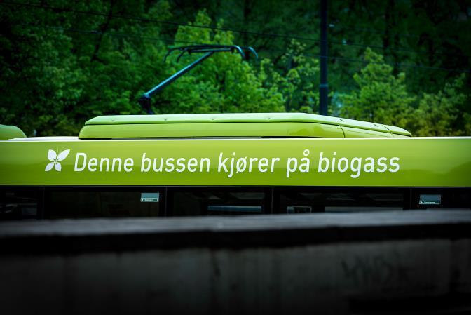 kollektivtransport, sykkel og gange (grønne