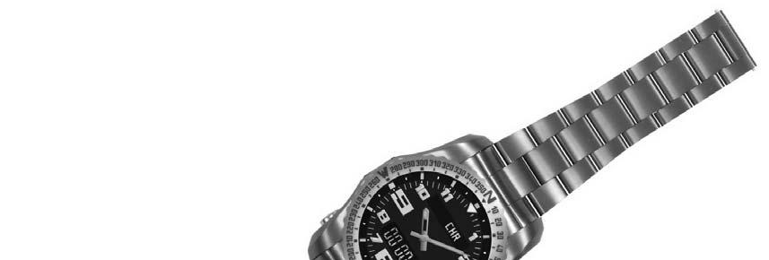 Design 2 (54) Produkt: Wristwatch (51) Klasse: 10-02 (72)