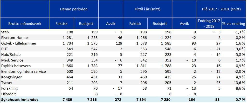 Bemanning månedsverk pr