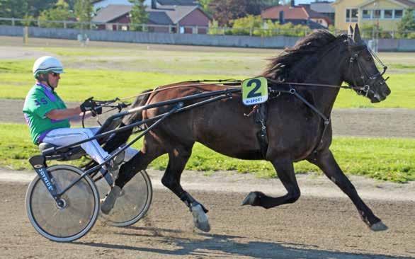 Kommentar: 4 Judison er et herlig talent. Den nyblivne 4-åringen tapte mye på galopp forrige mandag, men reparerte strålende til enkel seier.