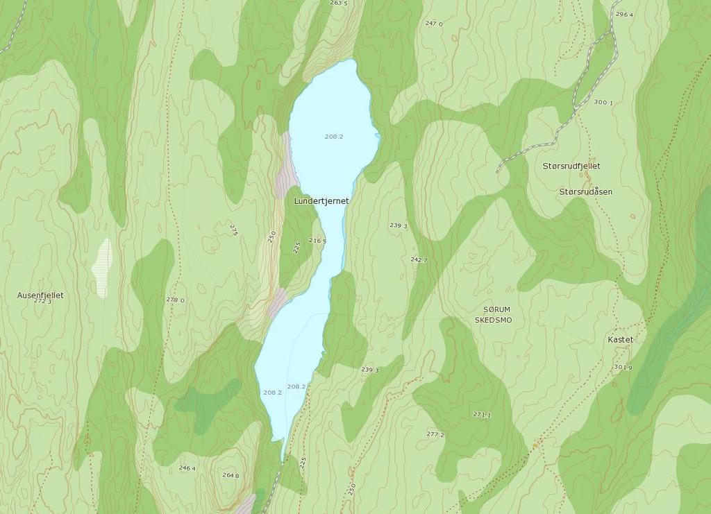 23 Figur 3-10. Jord- og skogressurser ved Lundertjerndammen (kilde: kilden.nibio.no).