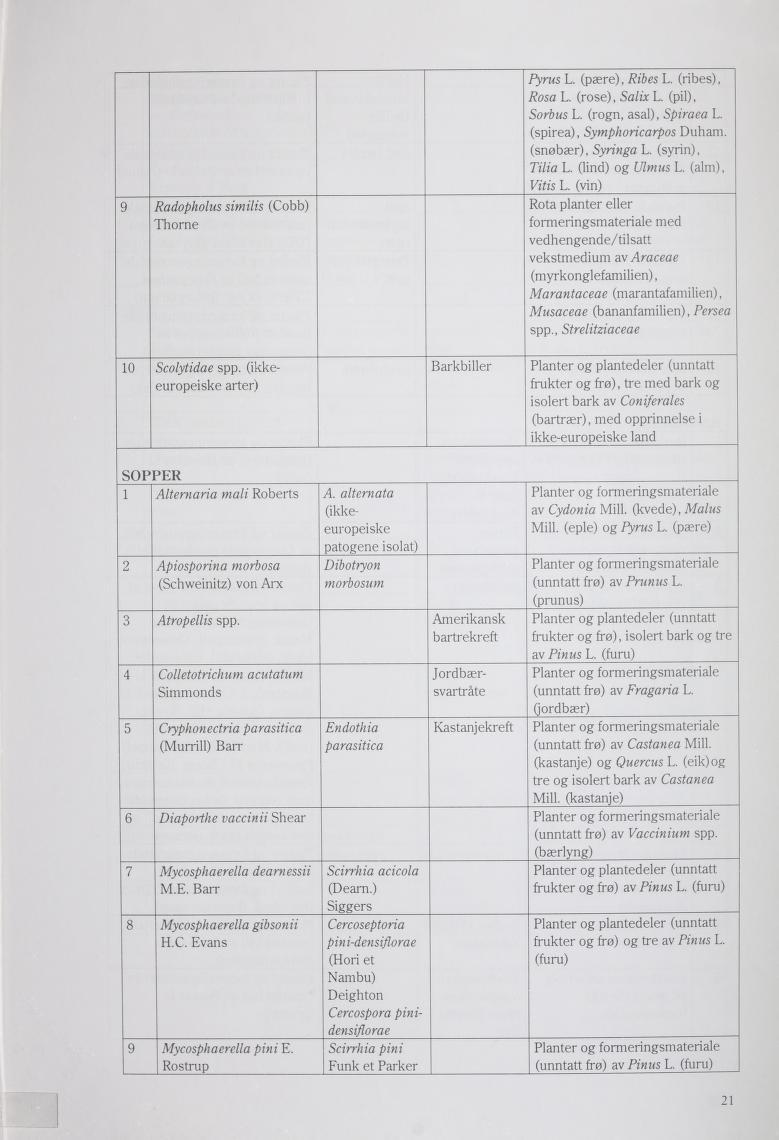 9 Radopholus similis (Cobb) Thorne 10 Scolytidae spp. (ikke europeiske arter) Barkbiller Pyrus L (pære), Ribes L. (ribes), Rosa L. (rose), Salix L (pil), Sorbus L.