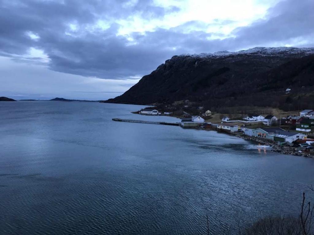 2.2 Dagens bruk I planområdet finnes det næringsinteresser både i vest og innenfor området. Derimot er det per i dag ikke eksisterende næringsvirksomhet der havneutbyggingen er tenkt.