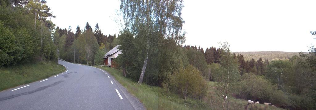 Det er skog langs hele strekningen, med hovedsakelig furu på grunnlendt mark på vestsiden av vegen, og tett granskog i lia ned mot bekken.