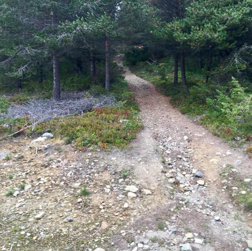 4 5 4 078moh stålstang la 0 0 Plan M :0 000 Heltresklt monteres på stålstang. Turmål, avstand og pl graveres sklt.