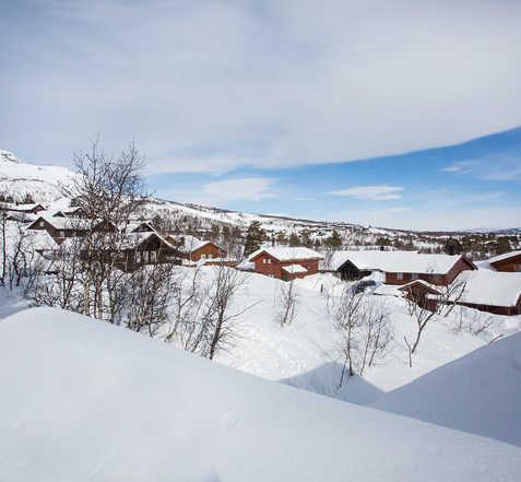 Hovden Fjellpark 24 BLI ENDA BEDRE KJENT MED