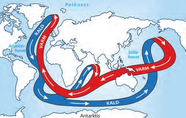 Figur 12 Omfordeling av energi i verdenshavene skjer blant annet gjennom den termohaline sirkulasjonen.