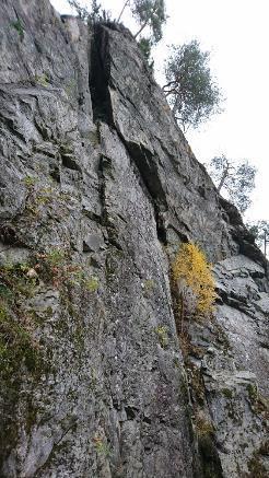 Figur 16: Større sprekk som er observert i klatrevegg. Sør for Hvalsberget er den bratte skråningen nærmere vegen, ned mot 4-5 m ifra, men høyden er lavere, 5-6 m.
