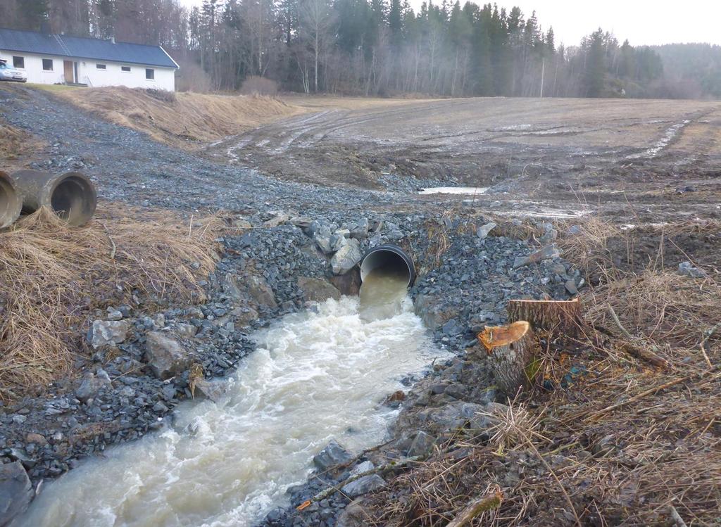 Steinsatt bunn og