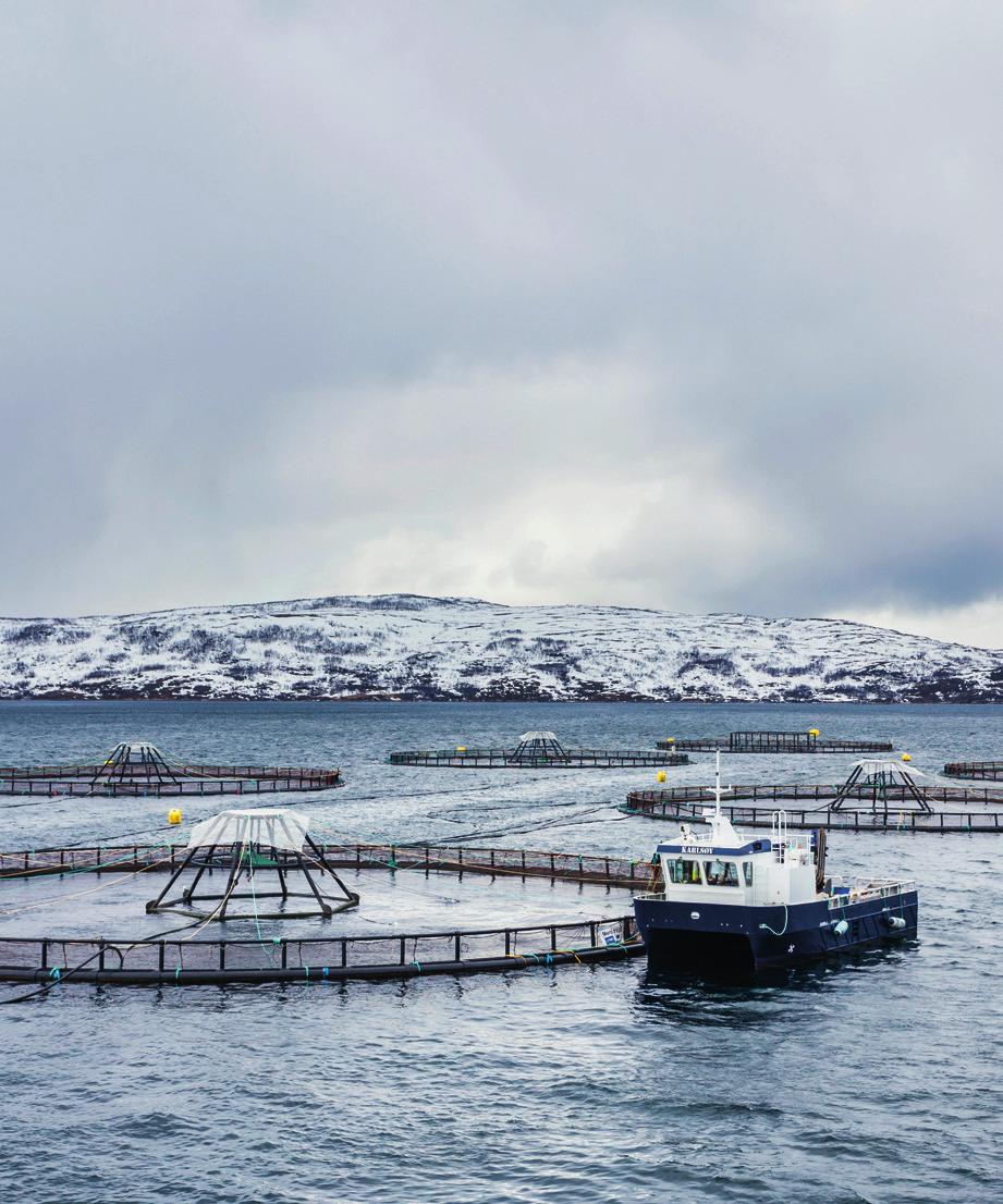 Bærekraft Utvikler nytt fôr Fakta Enda mer bærekraftig fôr For å sikre en bærekraftig produksjon av laks og ørret også i framtiden samarbeider Lerøy om utviklingen av et nytt og bedre fiskefôr.