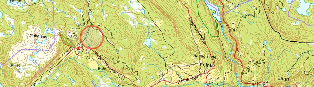 2. DAGENS SITUASJON 2.1 Beliggenhet Området ligger i Stavedalen i Reinli, vest for Bagn. Oversiktskart: 2.2 Beskrivelse av planområdet Området er ca. totalt 700 daa.