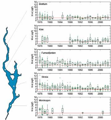 Figur 2. Tidstrend for total klorofyll a i overflatevannet (sjiktet -1 m) i perioden maioktober ved fem lokaliteter i Mjøsa i perioden 1976-23.