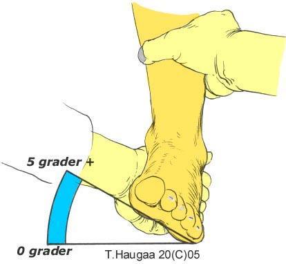 Leddforbindelsen ST har mange viktige funksjoner, den ene er det første leddet i støtabsorpsjonsapparatet. Påvirker bevegelsen: Medial og lateral tibial rotasjon, valgus og varus av hælen.