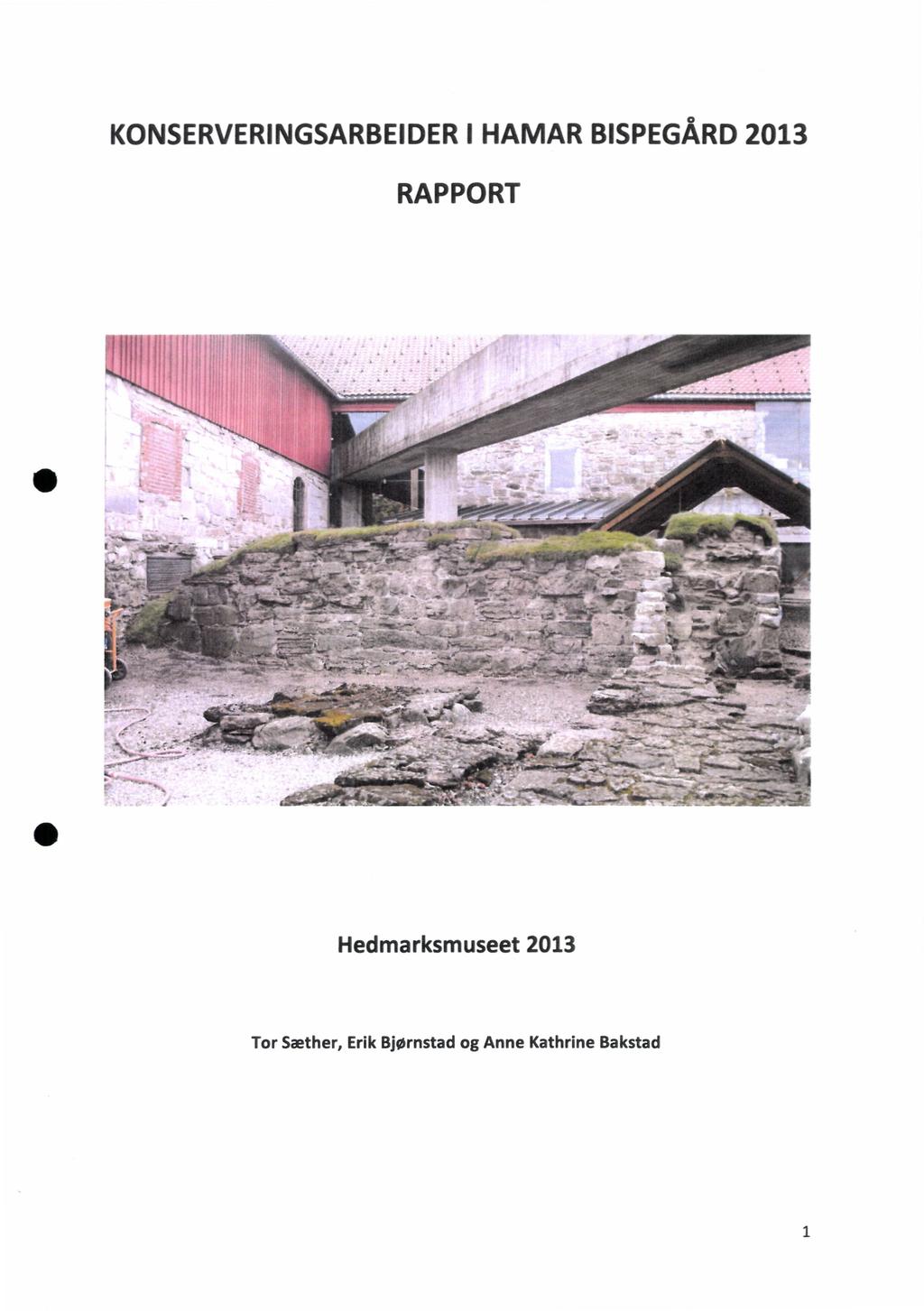 KONSERVERINGSARBEIDER I HAMAR BISPEGÅRD2013 RAPPORT 444 Æ. " - ;b, ';"7" ". " '4.1.... N...N... -...:-.Z"..--...7,,,...1..ffiir "7- "--...- '-' -- -- '.