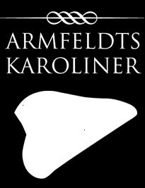 I år er det 300 år siden den svenske general Armfeldt, på Kong Karl XII ordre, mønstret en stor hærstyrke for å erobre Trondheim og bygdene omkring. En hærstyrke på ca. 10.