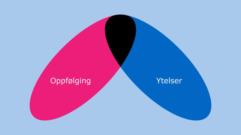 Hensikt med innhenting av legeerklæring NAV skal kunne vurdere om vilkårene for en ytelse er oppfylt Opplysninger om helse og funksjonsevne er viktig bidrag til best mulig