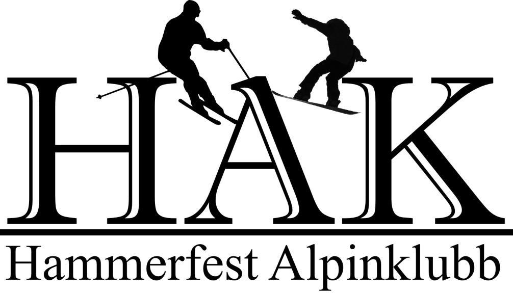 ORGANISASJONSPLAN FOR HAMMERFEST ALPINKLUBB Forslag til