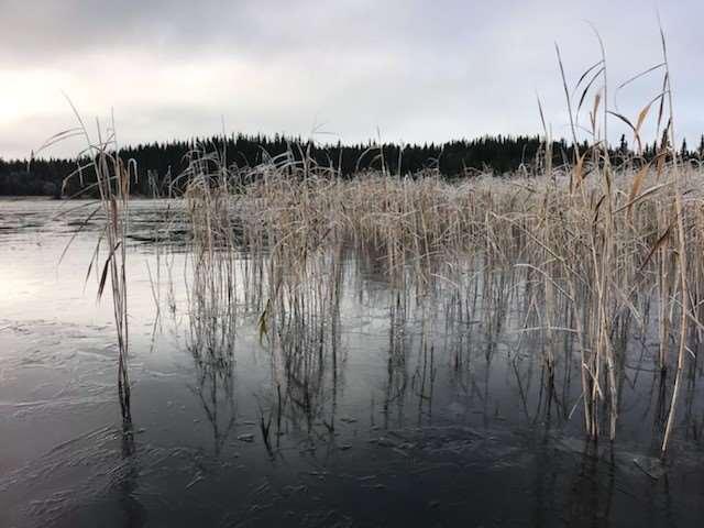 nær tilknytning til Leirin.