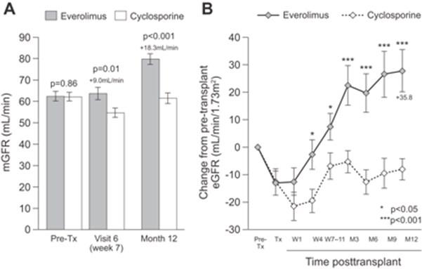 Everolimus som tidlig CNI erstatning Study design Changes in mgfr and egfr Progression