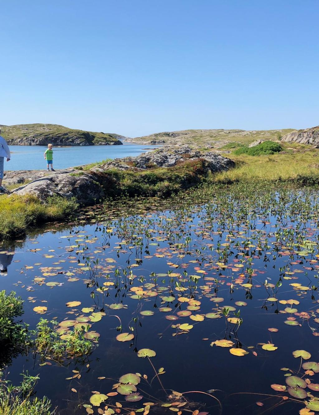 Detaljer i bestemmelsene Friluftslivsprosjekter som eget tema i bestemmelsene, er nå mye mer presis og tydelig på hva som gjelder: Lettere å beregne korrekt maks beløp for en turvei- løype og sti