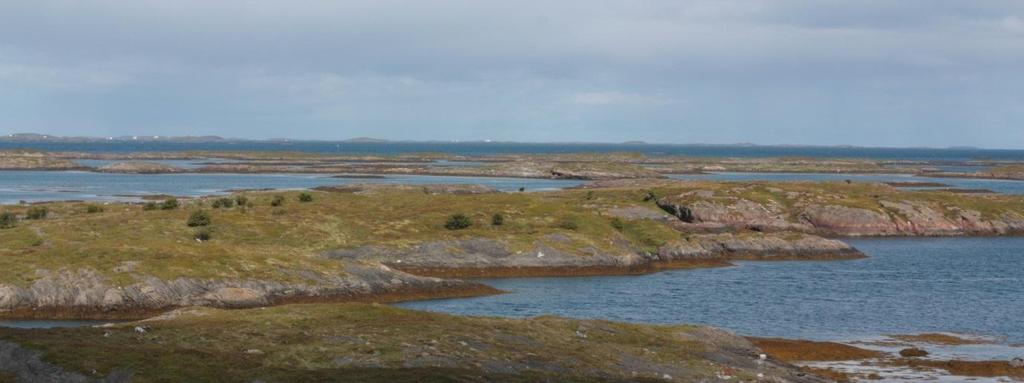 5.2.3. Delområde 3 Delområde 3 ligger på ei øy rett nordvest for delområde 2. Dominerende vegetasjonstype er tørr gras- og urterik hei, rikere utforming (H2b).