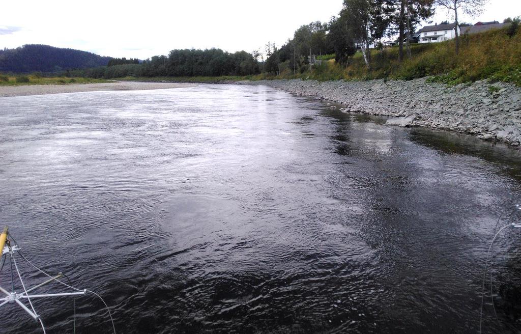 Figur 3. Lengdegrupper (cm) av laksunger som ble fanget under elektrisk båtfiske i september 2017 i hovedstrengen av Gaula mellom Kvål og Gaulosen.