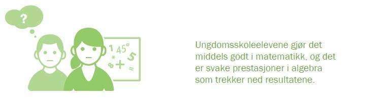 I 2015 kan norske niendeklassingers prestasjoner i matematikk karakteriseres som middels gode, sammenlignet med jevnaldrende elever i andre europeiske