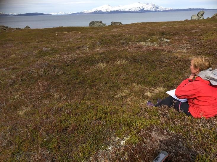 kulturminner i, og ved, verneområdet på Lyngstuva.