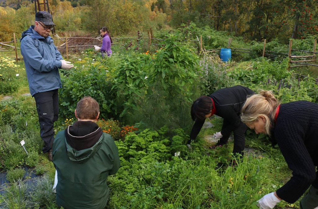 alderen 6-13 år, som har samisk språkundervisning på skolen 1. eller 2. språk, og ble arrangert på sommeren før Riddu Riddu festivalen.