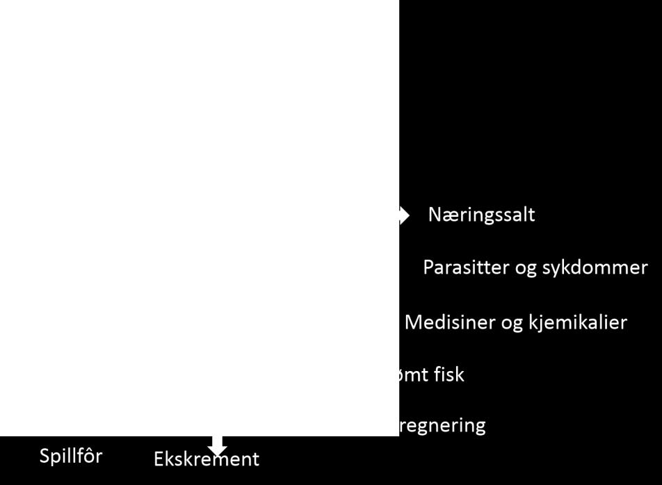 Oppdretter har en aktsomhetsplikt ved bruk av stoffer som kan medføre miljøforstyrrelser eller helseskade og skal vurdere mulighet for substitusjon av slike stoffer jf. produktkontrolloven 3 og 3a.