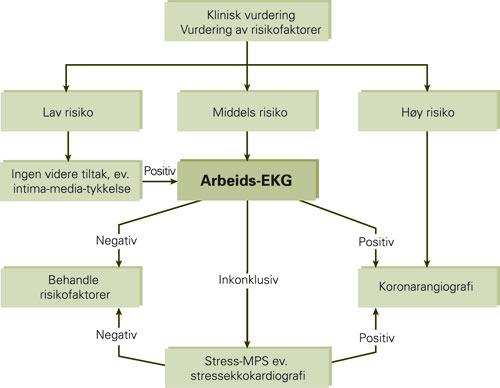 Beskrivelse av A-EKG Pretest sannsynlighet Belastningstype og protokoll Maksimal belastning (MET) Symptomer: BORG skala Maksimal puls og