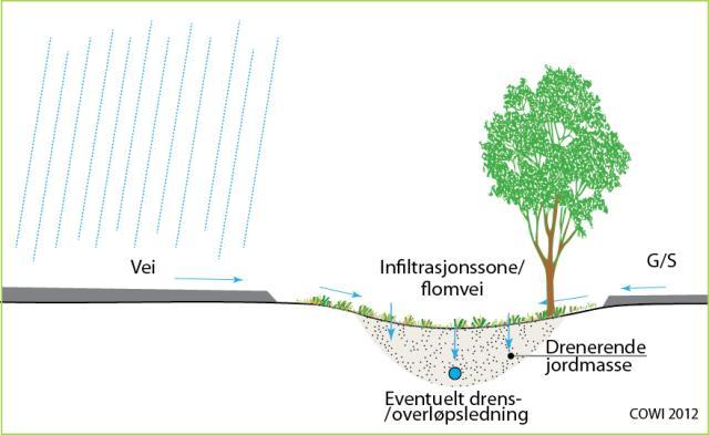 I byområder der trær ofte står plantet i tette overflater, vil trekronene ta opp regnvann og ha en positiv effekt
