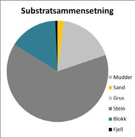 Det ble i tillegg utført elektrisk fiske på to stasjoner á 100 m 2 på rognplantingsområdet ovenfor den anadrome strekningen.