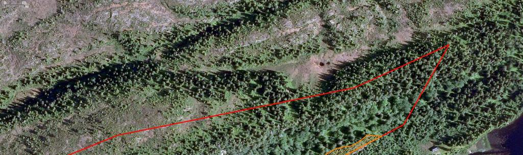 6 Skjøtsel og tiltak I Sjettenberglia naturreservat er det identifisert et delområde som bør skjøttes aktivt for å bevare det biologiske mangfoldet i almeskogen og opprettholde verneformålet.