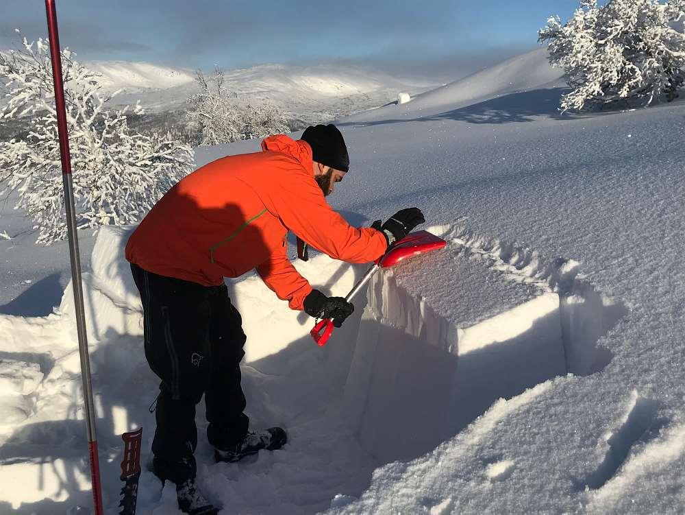 Snøskredobservatører - skigjengen 65 observatører har avtale med Snøskredvarslingen / NVE: Lokalkjente i regionen Har grunnleggende snøkjennskap God erfaring med ferdsel i vinterfjellet